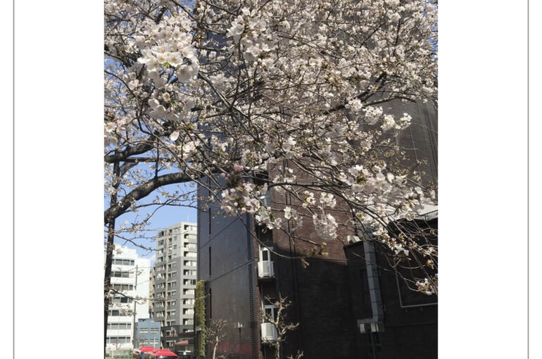 IMG-7745